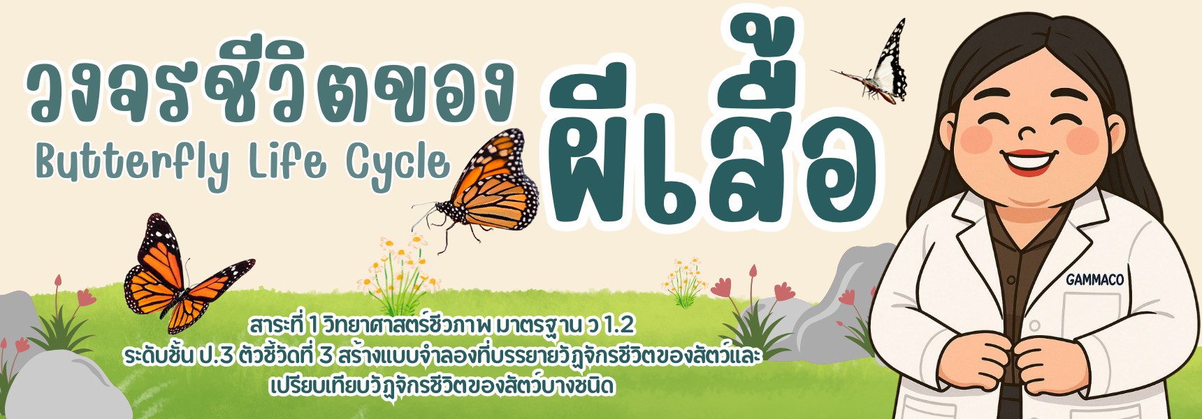 วงจรชีวิตของผีเสื้อ