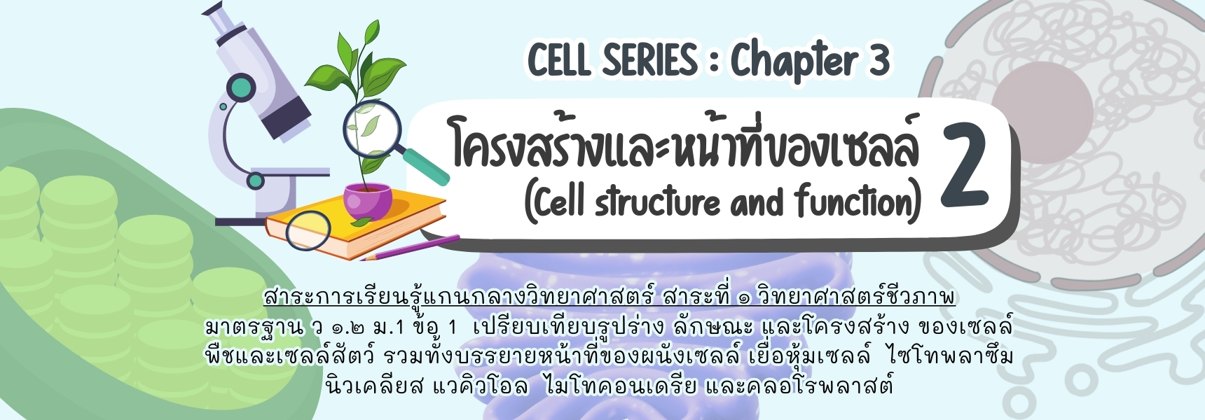 Cell Series - Chapter 3 (โครงสร้างและหน้าที่ของเซลล์ 2)