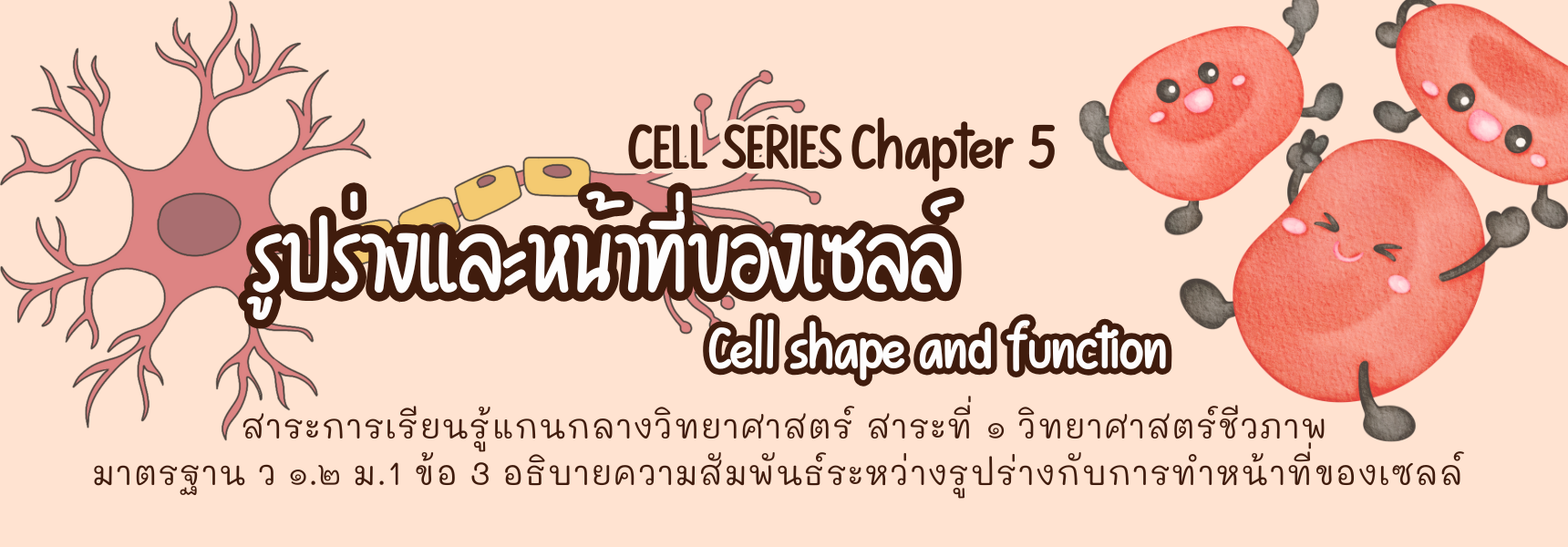 Cell Series - Chapter 5 (รูปร่างและหน้าที่ของเซลล์)