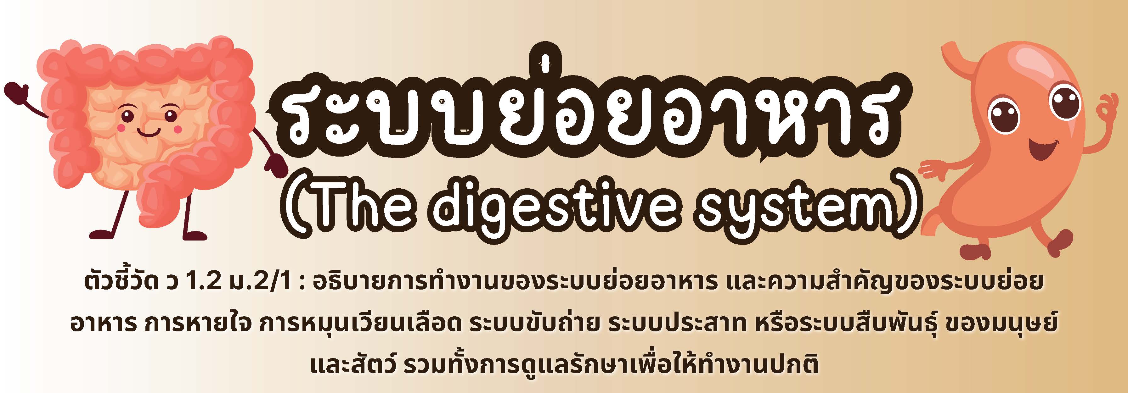 ระบบย่อยอาหาร