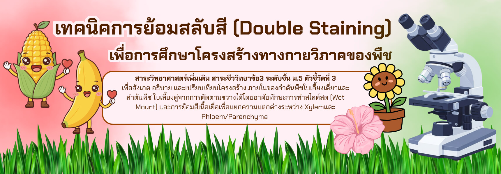 เทคนิคการย้อมสลับสี