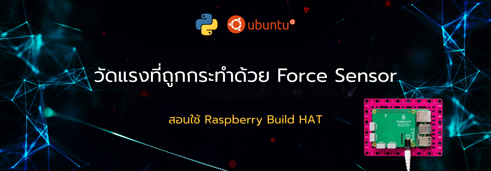 วัดแรงที่ถูกกระทำด้วย ForceSensor