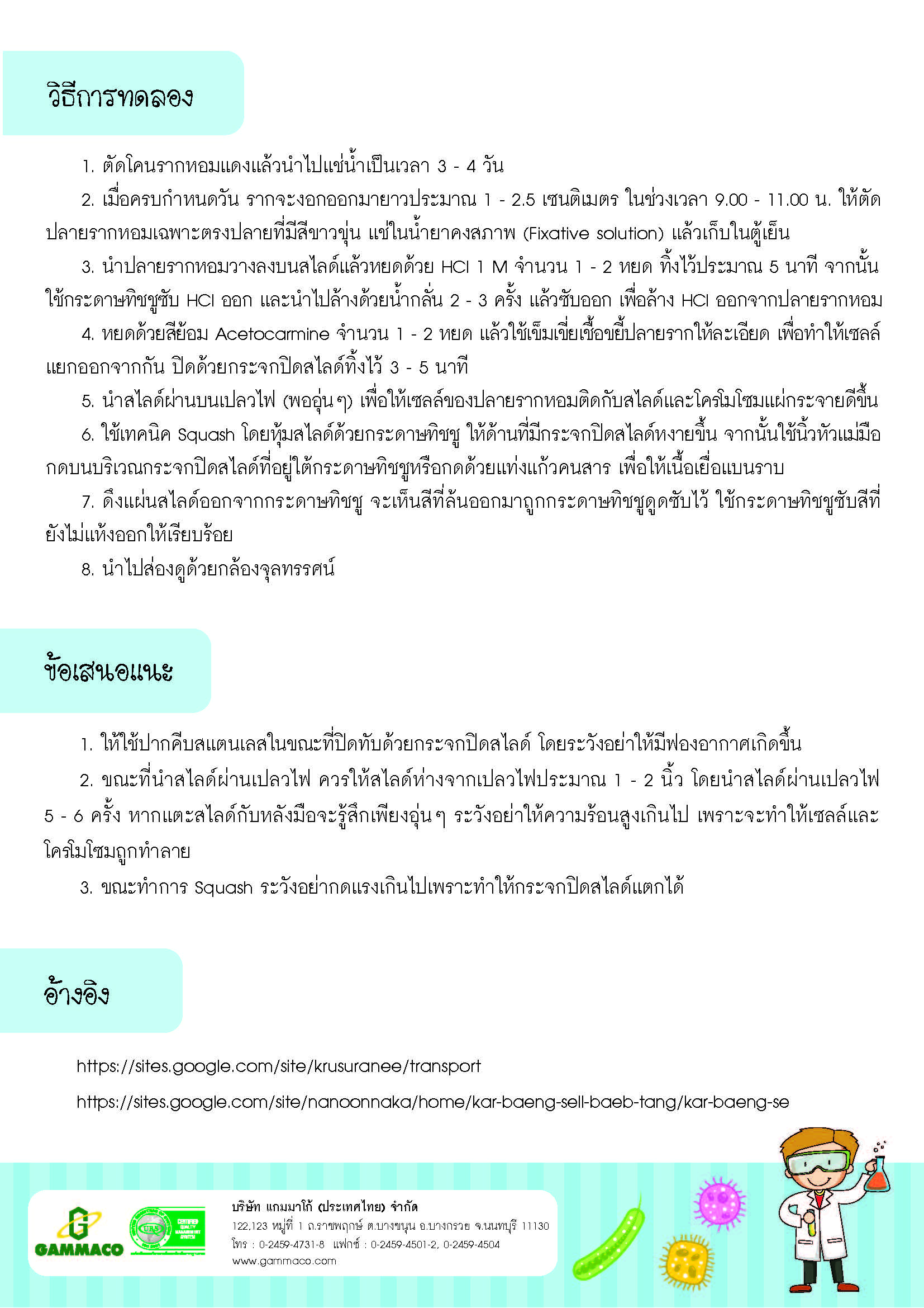 การศึกษาการแบ่งเซลล์แบบไมโทซิส-4